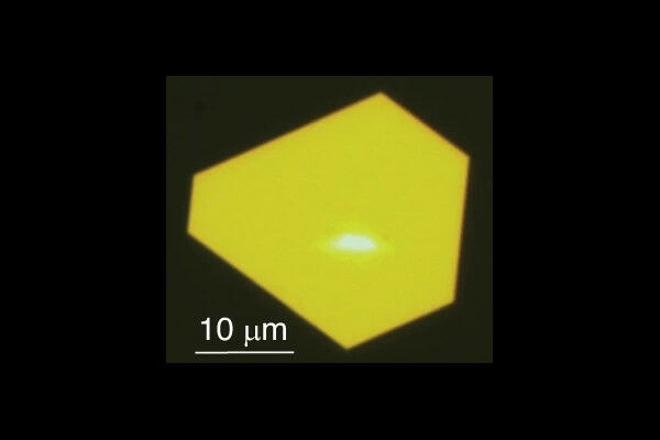 White-light image of a gold flake in a microscope (79 nm thick), using a laser w