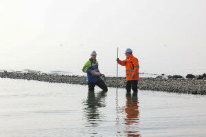 Facilitate lake delta renaturation projects