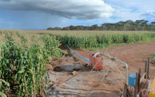 Global groundwater levels declining rapidly, but they can recover
