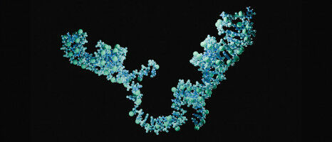 Gut microbiota and antibiotics: Missing puzzle piece discovered