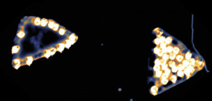 It's the spin that makes the difference