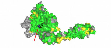 Key to Improving Cancer Treatments Discovered