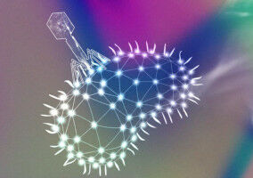 Bacteriophages: a targeted alternative to antibiotics