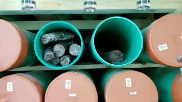 More clutter for more biodiversity