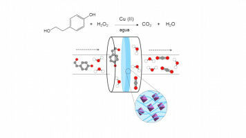 Membranes for the degradation of water pollutants