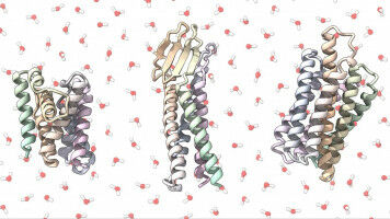 Membrane protein analogues could accelerate drug discovery