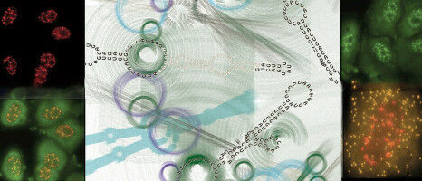 Networkers in cramped conditions