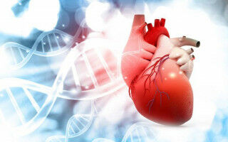 New genetic explanation for heart condition revealed
