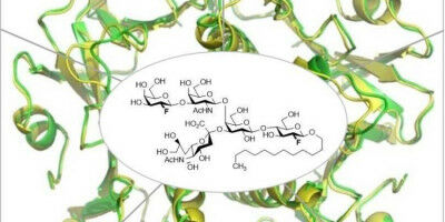 New insights into molecular mechanisms of cholera infection