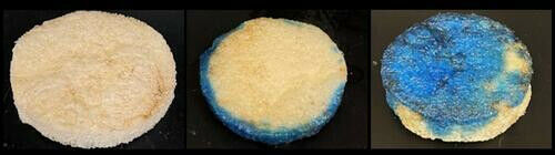 An example of the polymer foam developed by Waterloo Chemical Engineering Tizaz