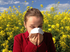 New test improves diagnosis of allergies