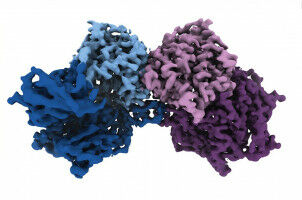 Mapping Protease Activity: A Breakthrough in Drug Design