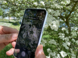 Plant identification via app enables phenological monitoring