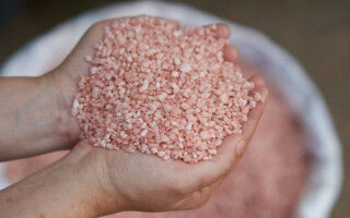 Potassium depletion in soil threatens global crop yields