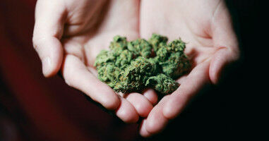 Potential therapeutic to counteract mental health effects of cannabis