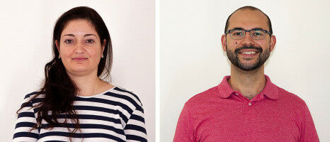 Precursor of Cholesterol Protects Cells From Ferroptosis