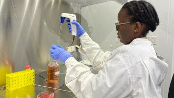 Promising Genotyping Technique for Assessing Antimalarial Drug Efficacy