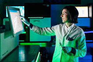 Ready and Vigilant: Immune Cells on Standby