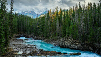 Research gaps in links between Indigenous health and climate change