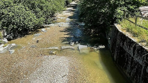 The study shows that 30 percent of precipitation deficits lead to low water leve