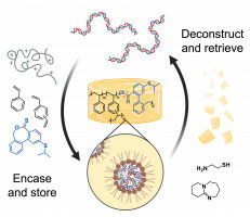 Scientists preserve DNA in an amber-like polymer