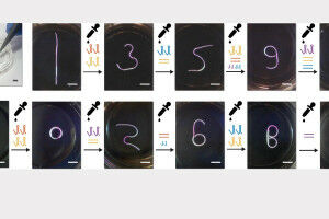 Shape-shifting gels create possibilities for shape-shifting robots