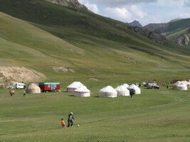 Social change may explain decline in genetic diversity of the Y chromosome at the end of the Neolithic period