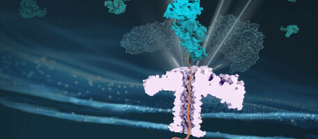 The secret strength of our cell guards