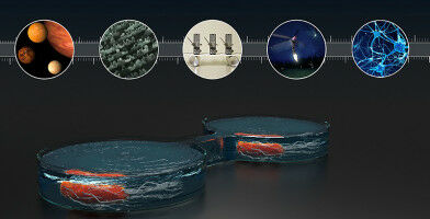 Tiny dancers: Scientists synchronise bacterial motion