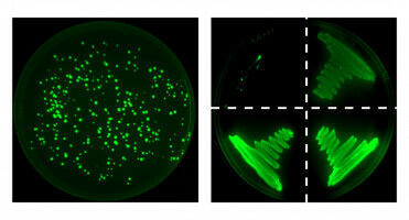 'Ways of decomposing chemicals may be developed in just a few decades' time'