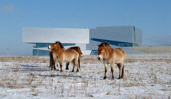 300,000-year-old Genomes: History of the Sch�ningen Horses Deciphered