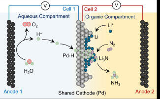 A more climate-friendly way to produce nitrogen fertilizer