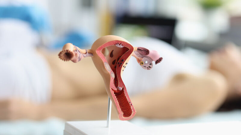 Researchers from DTU and Amager Hvidovre Hospital have been given access to the