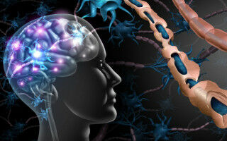 AI tool can track effectiveness of multiple sclerosis treatments