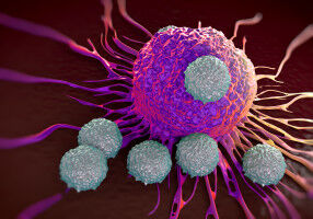 Custom-designed receptors boost cancer-fighting T cells