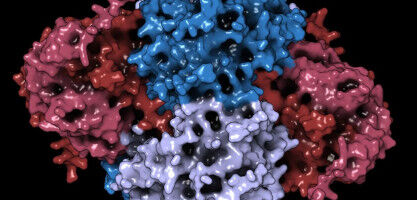 Discovery reveals 'handbrake' that controls cancer drug response