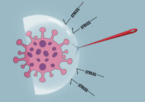 Disrupting stress management in cancer cells