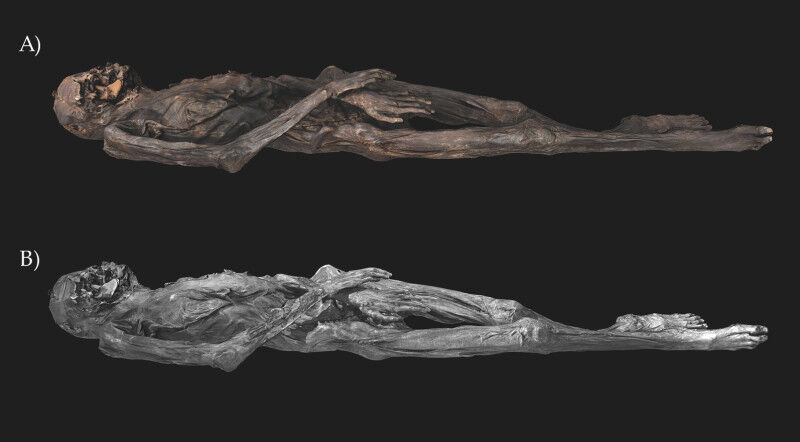 Photogrammetric 3D model of the female mummy from Pazyryk Tomb 5: A) Textures fr