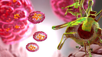 Engineering dendritic cells boosts cancer immunotherapy