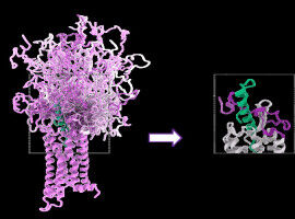 Flexibility is function: How unstructured protein segments regulate biological functions