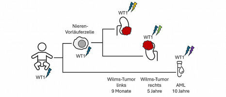 Genetic Predisposition for the Development of Kidney Tumors in Children Decoded