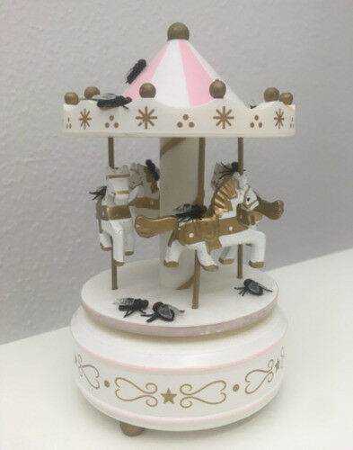 Symbolic image of carousel-riding flies. Photo: Wolf H�tteroth