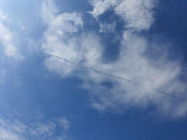 'Hidden' contrails in cirrus clouds contribute to climate warming