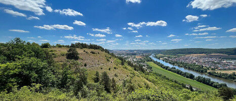 Higher Pollinator Diversity in Calcareous Grasslands