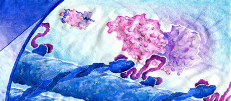 How chromosomes separate accurately