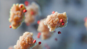 Key stabilizing role of small molecules