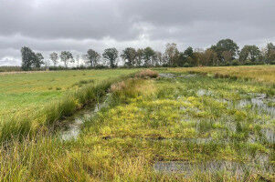 Landscapes for biodiversity, food, climate and more
