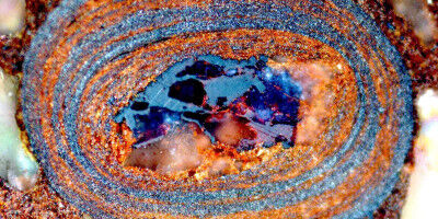 Minute witnesses from the primordial sea