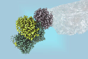 Using microbes to create renewable plastics