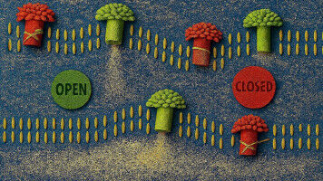 Nanopores act like electrical gates